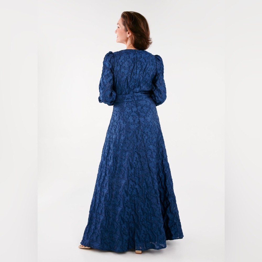 NWT Abbey Glass Brooke Organza V-Neck Button Front A-Line Maxi Dress Navy Sz XS - Picture 6 of 12